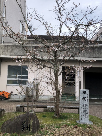 コメント 2024-04-02 164753