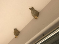IMG_0801 (1)